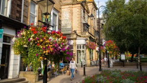 harrogate